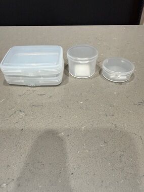 The Container Store Hinged Plastic Storage Containers Set of Four, New